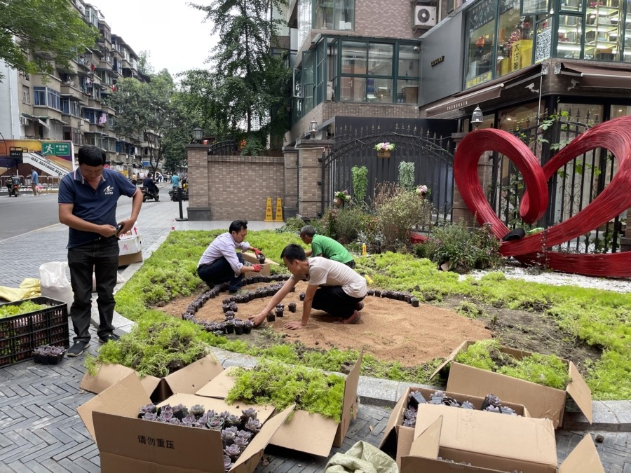 太古里愛(ài)情專線1314活動(dòng)，小區(qū)外花境景觀綠化提升