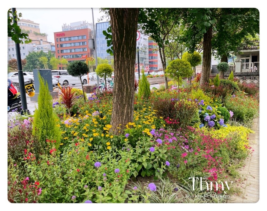 街道花鏡花景景觀