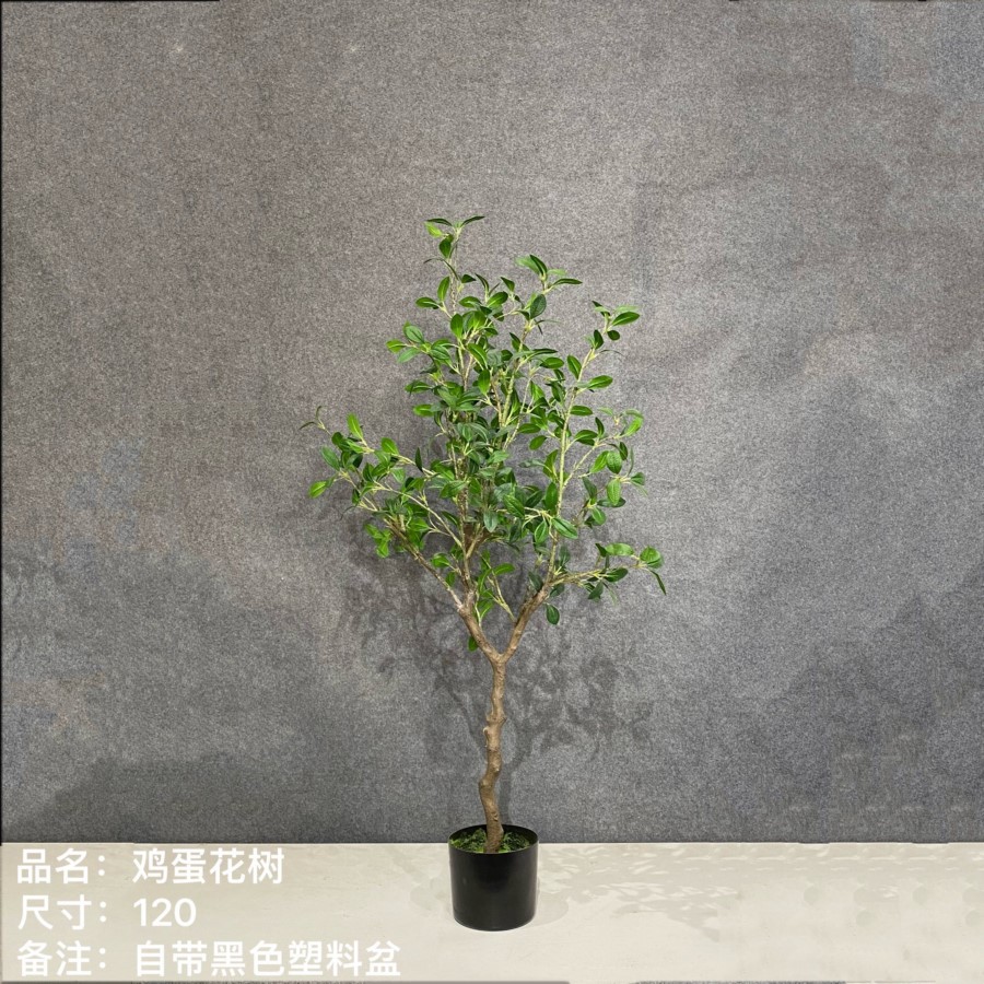 仿真雞蛋花樹_高120CM