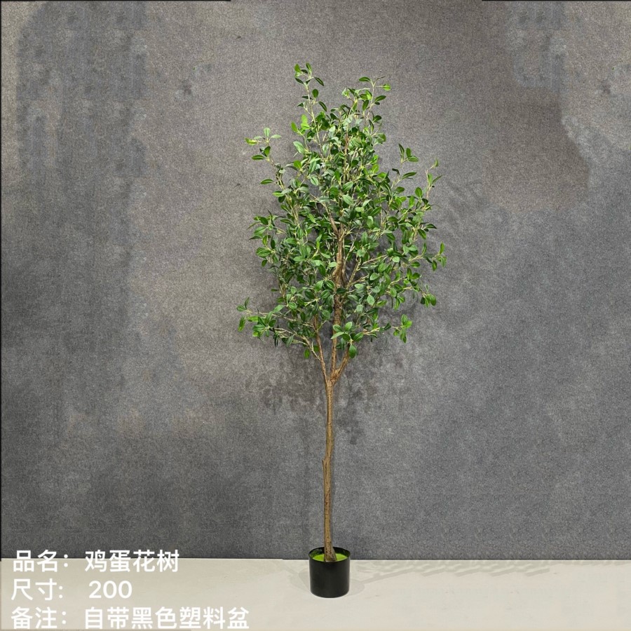 仿真雞蛋花樹_高200CM