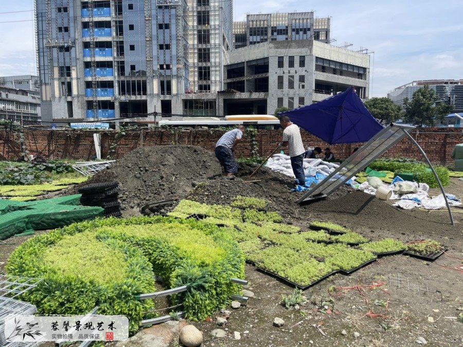 公園建黨百年主題綠雕