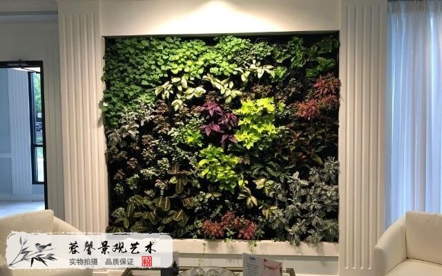 室內植物綠墻