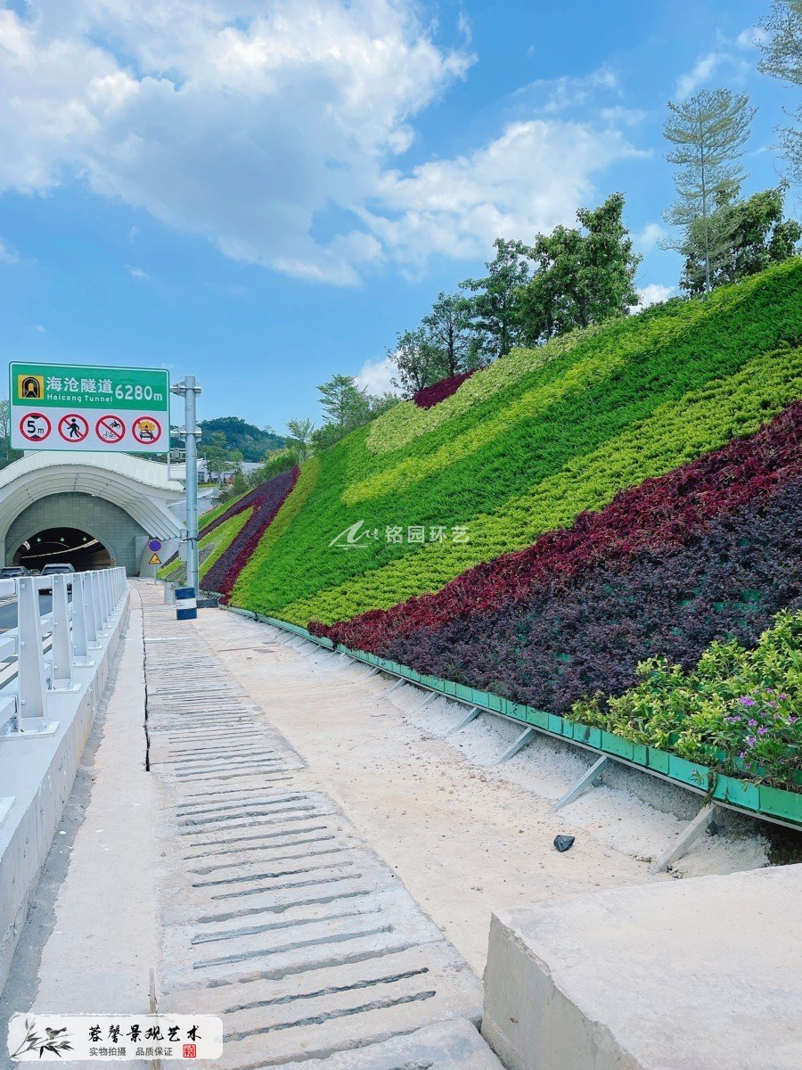 隧道綠化，廈門海滄隧道護坡垂直綠化景觀