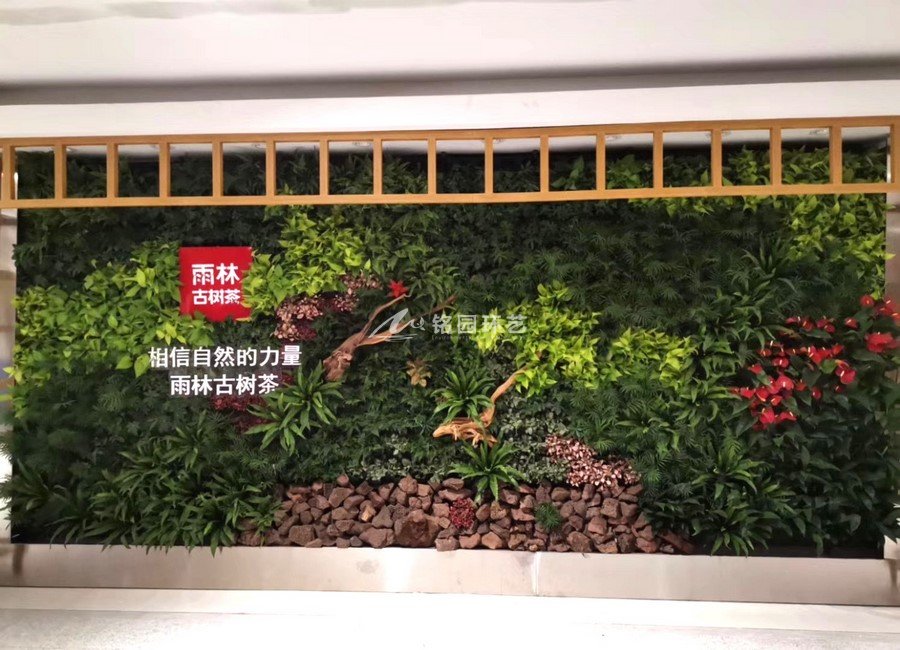 綠植背景形象墻，深圳雨林古樹茶垂直綠化景觀