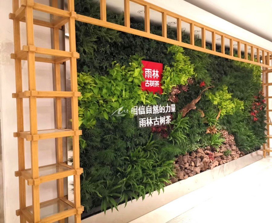 公司背景植物墻