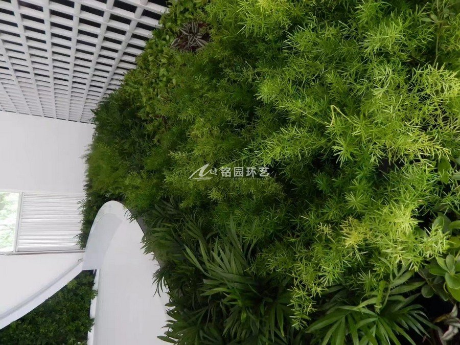 門頭植物墻