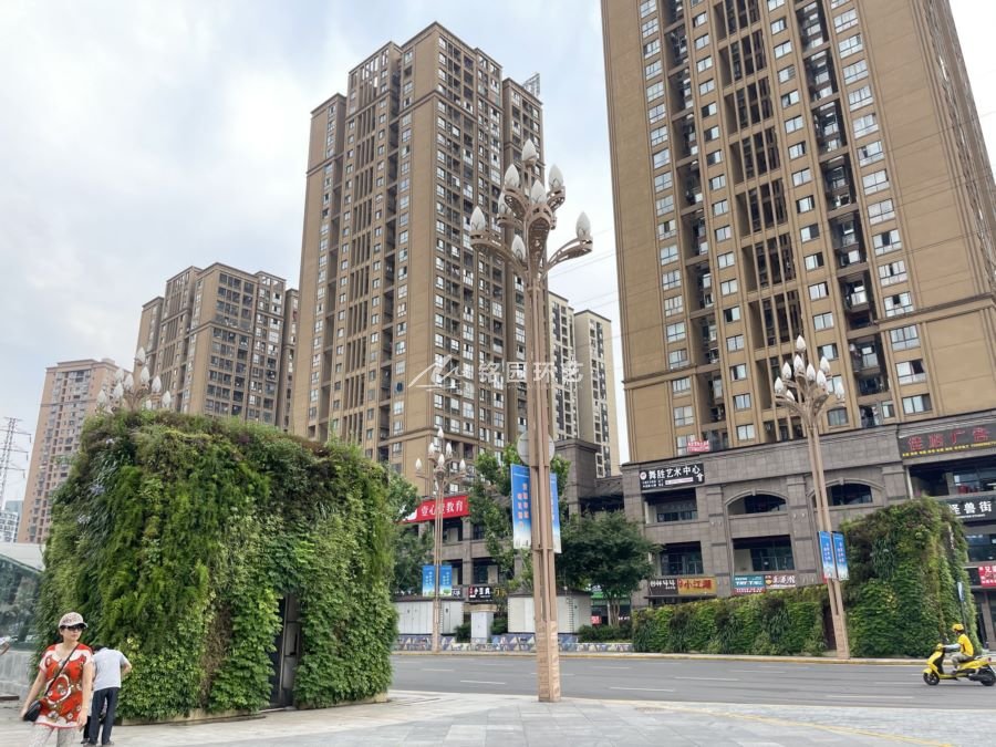 廣場(chǎng)植物墻，升降梯建筑外墻垂直綠化景觀