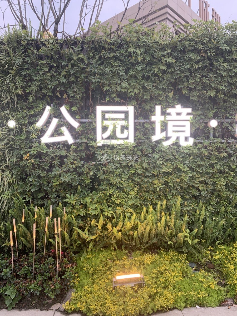 室外隔斷植物墻