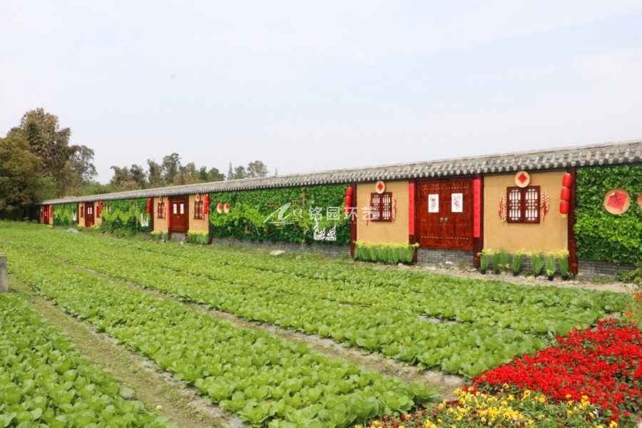 藝術(shù)節(jié)植物墻