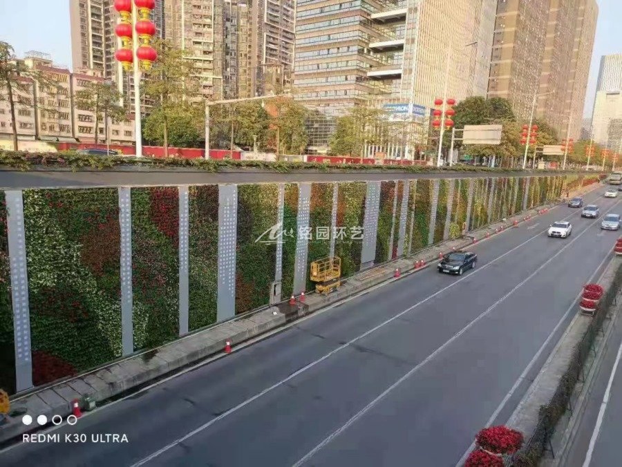 下穿隧道綠化，市政城市道路兩旁垂直綠化景觀