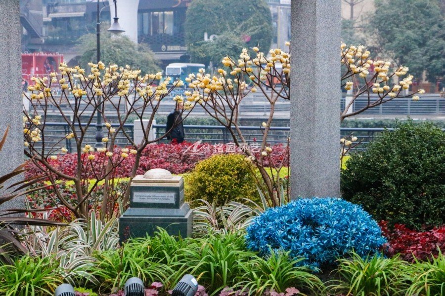 圍擋垂直綠化花境景觀